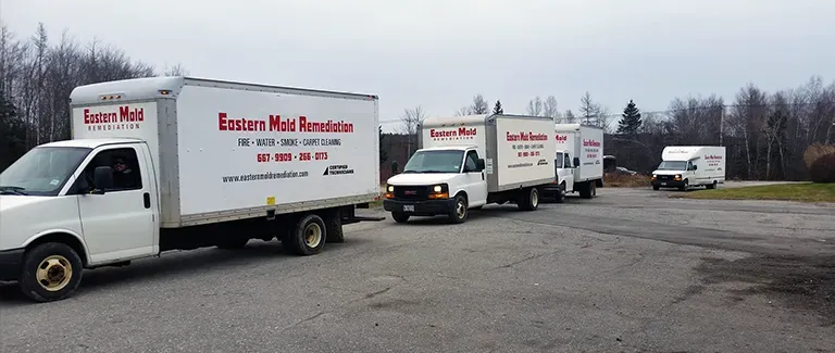 Our Trucks
